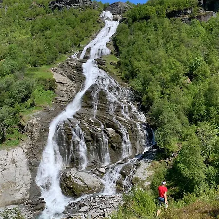 Dispen Stryn